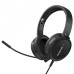 AVerMedia BO317 Camera & Headphone Video Conference Kit